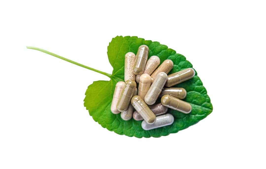 hoja verde con-pastillas nn products suplementos alimenticios en hoja verde